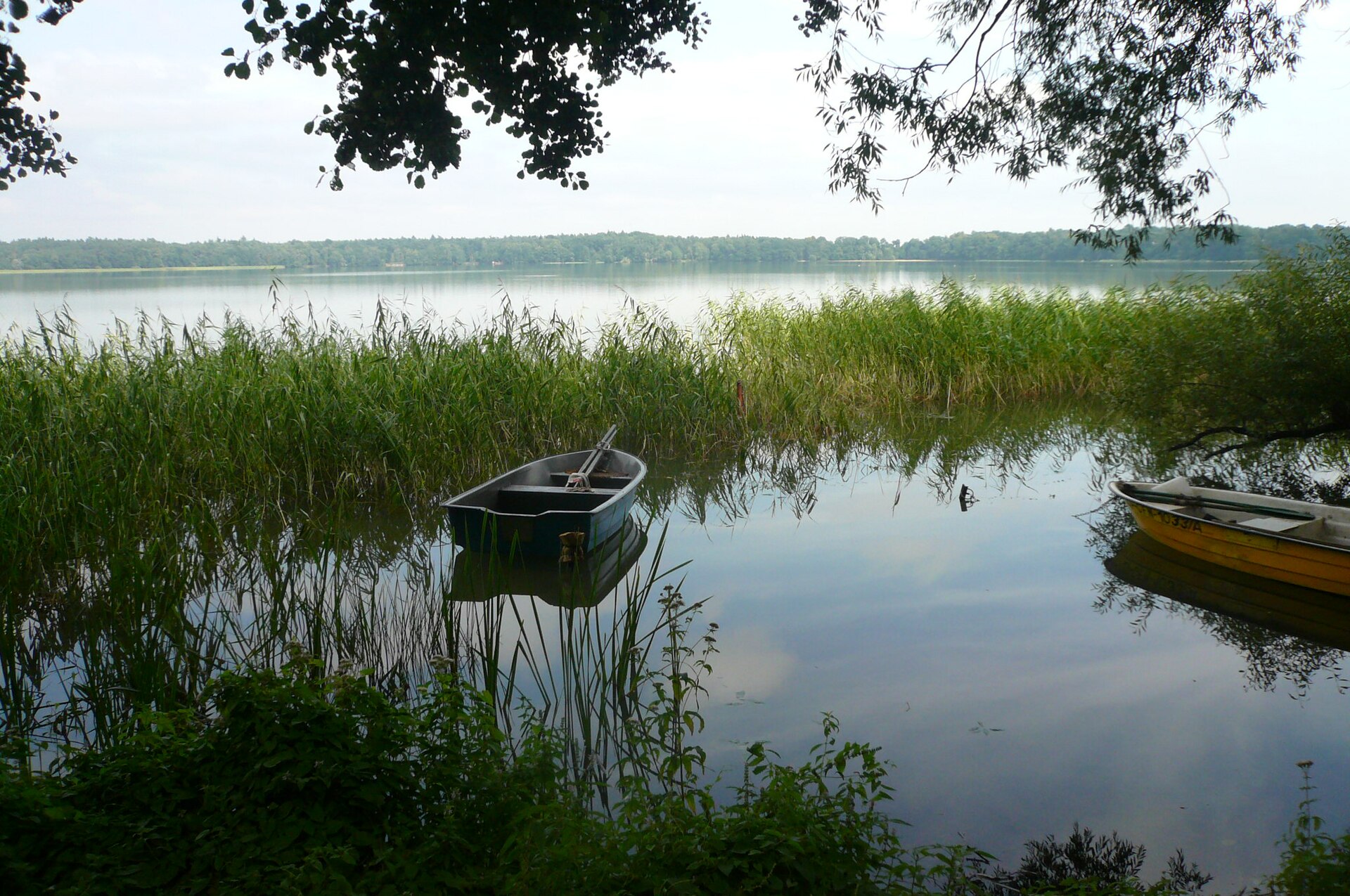Ufer des Jezioro Morzycko in Moryń mit Booten, Schilf und Bäumen